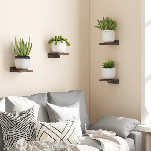 Petites étagères murales foncées avec plantes, installées au-dessus d’un canapé.