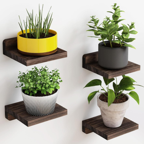 Quatre petites étagères murales foncées portant des plantes en pot.